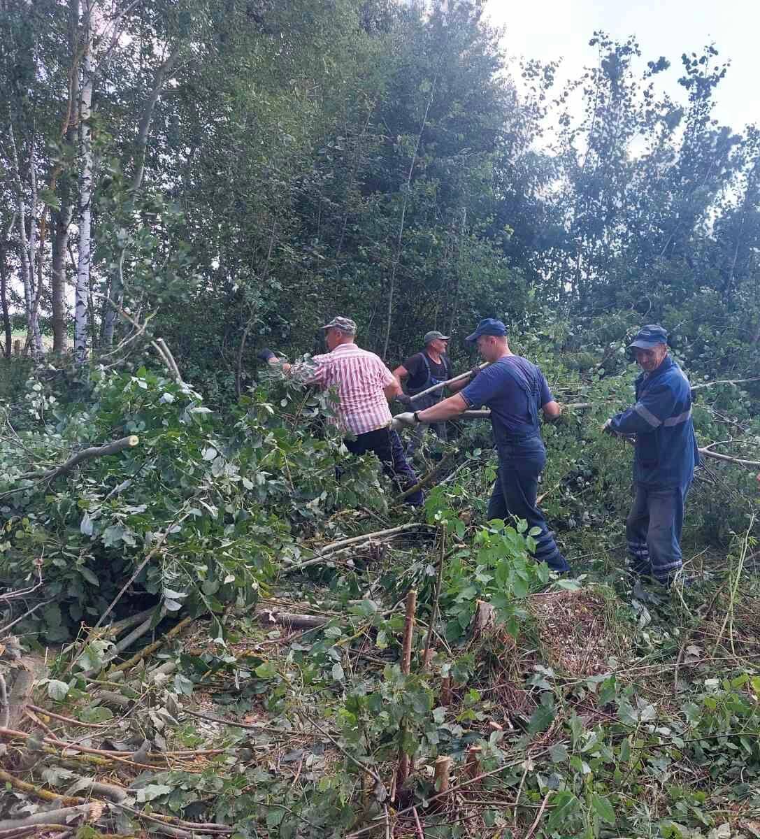    В Гомельской и Могилевской областях газовики помогают устранять последствия непогоды