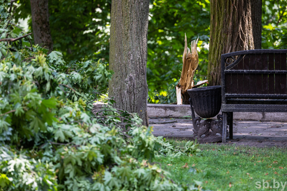    Профсоюзы подключились к решению вопросов по ликвидации последствий урагана на Гомельщине