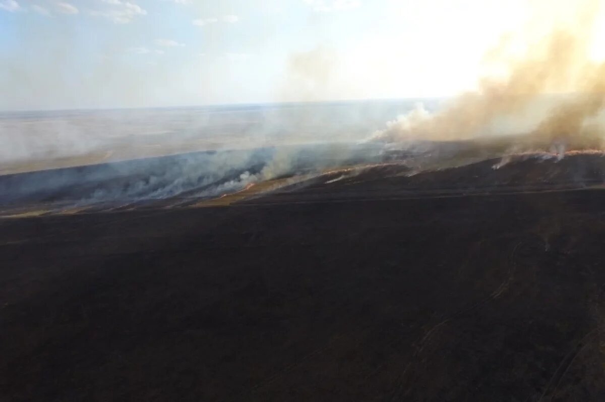    Человеческий фактор стал причиной пожара в степи на окраине Волгограда