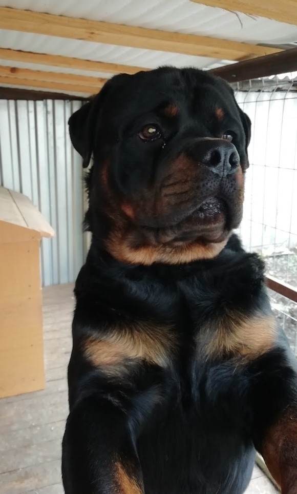 Из личного архива