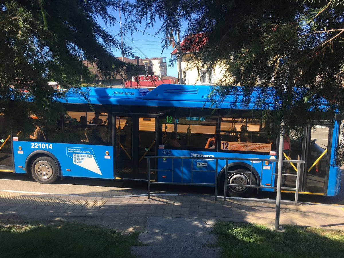Красавец на 12 маршруте