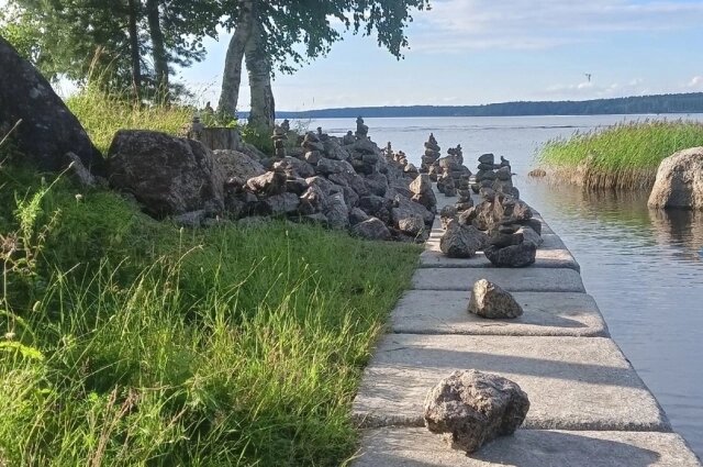    Фото: VK-паблик «Выборг ВКонтакте».