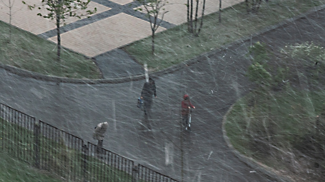    Фото: Роман Денисов/Globallookpress.