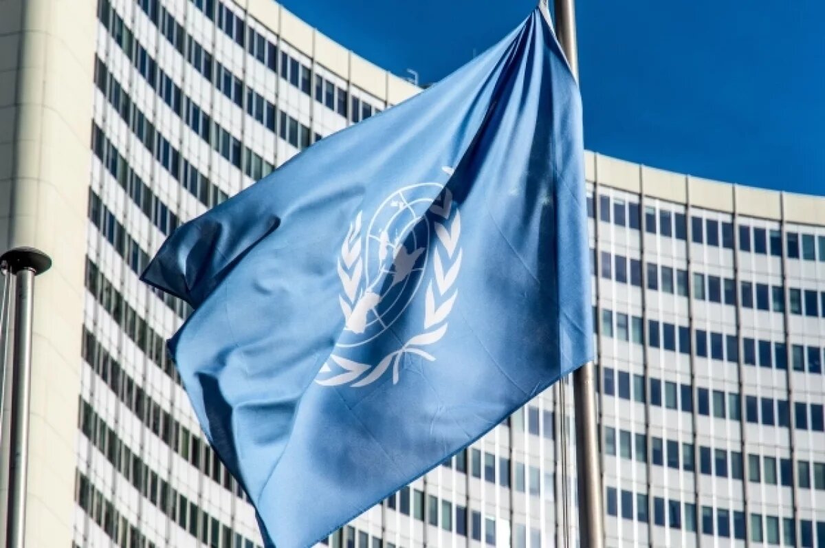    В ООН начали проверку после убийства российского военного боевиками «Азова»