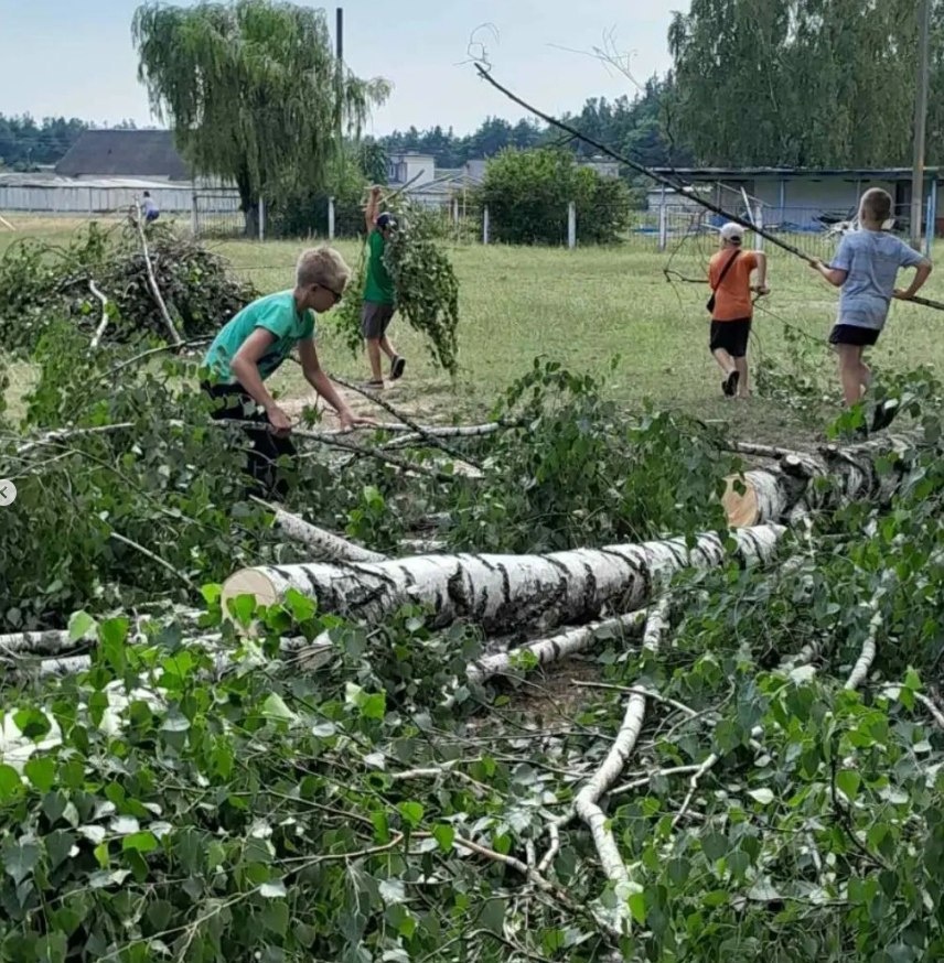    Волонтеры БРСМ помогают ликвидировать последствия непогоды
