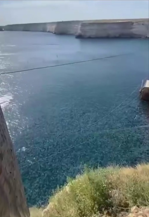 Скрин с видео