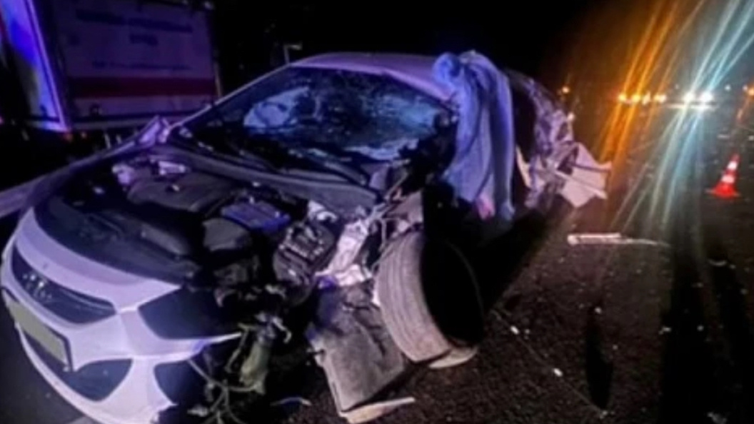    Фото: соцсети