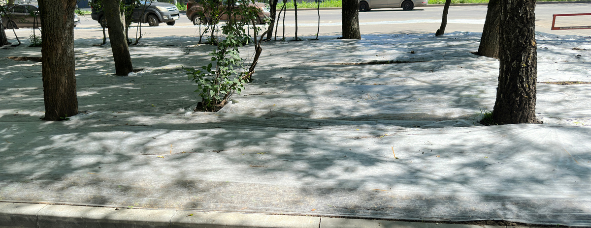 Под укрытием - будущий газон у моего подъезда. В середине прошлого месяца.