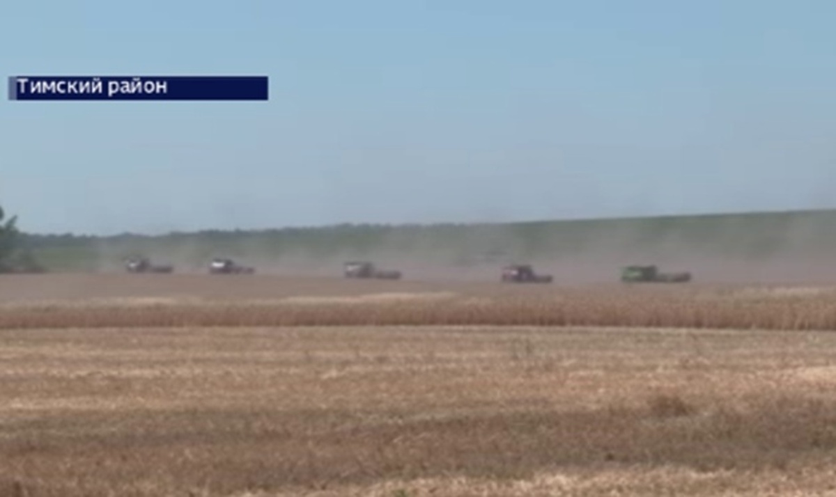    В Курской области приступили к уборке зерновых
