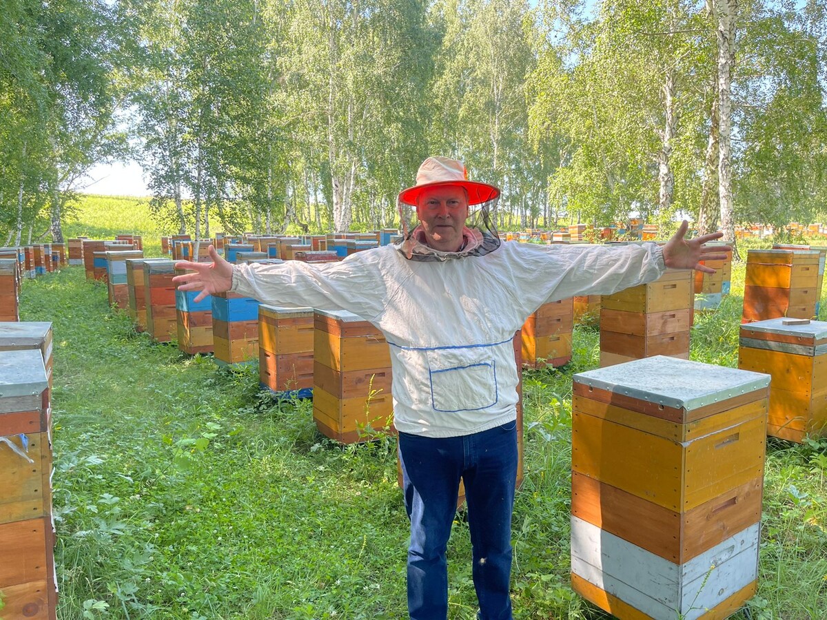 Поддержку пчеловодов – в приоритеты аграрной политики на Алтае! | Олег  Нилов | Дзен