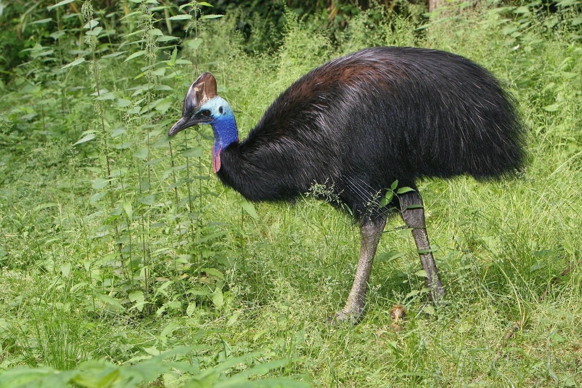 -2