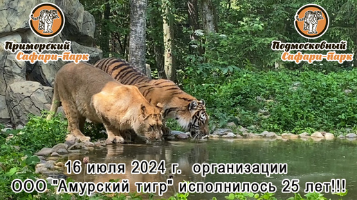 16 июля 2024 г. организации ООО 