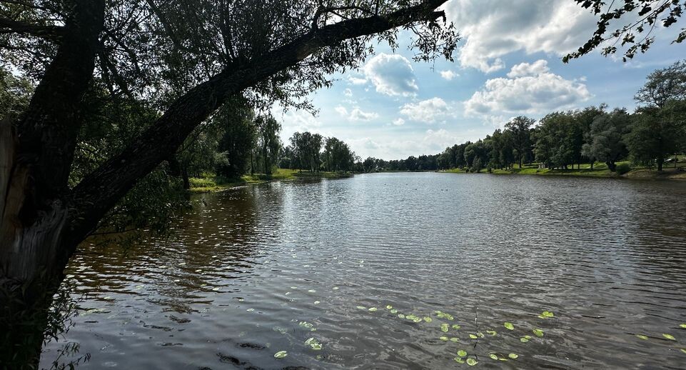    Минэкологии