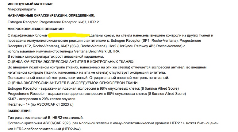 Пример качественно выполненного ИГХ-исследования