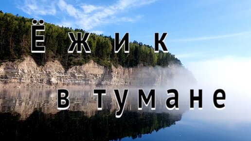 Ёжик в тумане