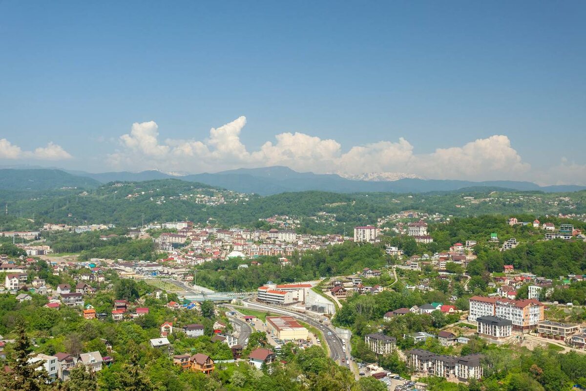    Фото: тг-канал «Сочи Официальный»