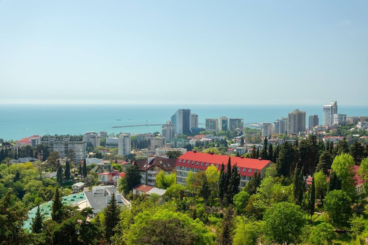    Фото: тг-канал «Сочи Официальный»