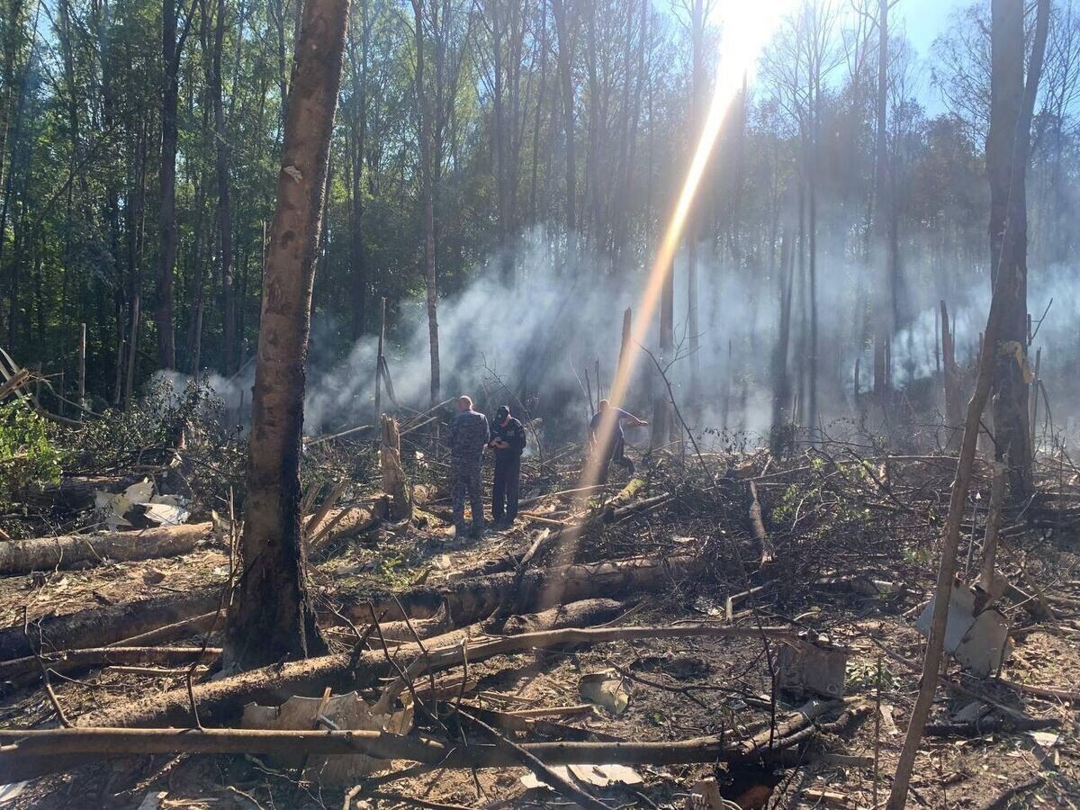    Место крушения самолета в Подмосковье© Фото : Официальный Telegram-канал главы Городского округа Коломна