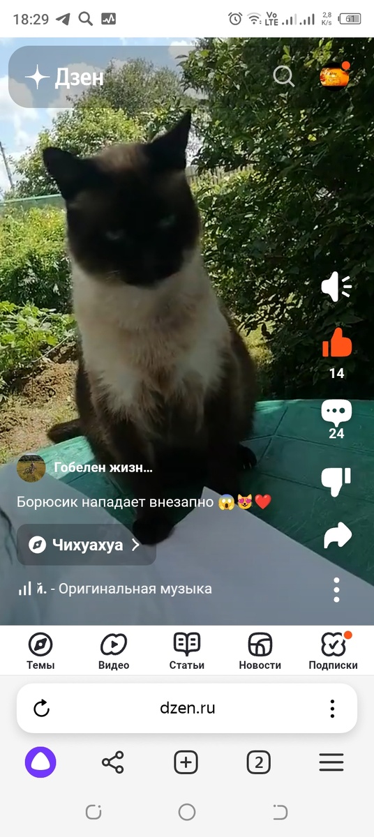 Личное фото