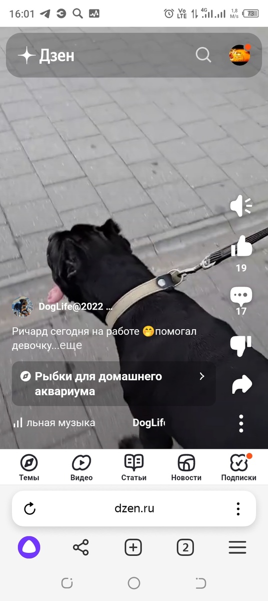 Личное фото