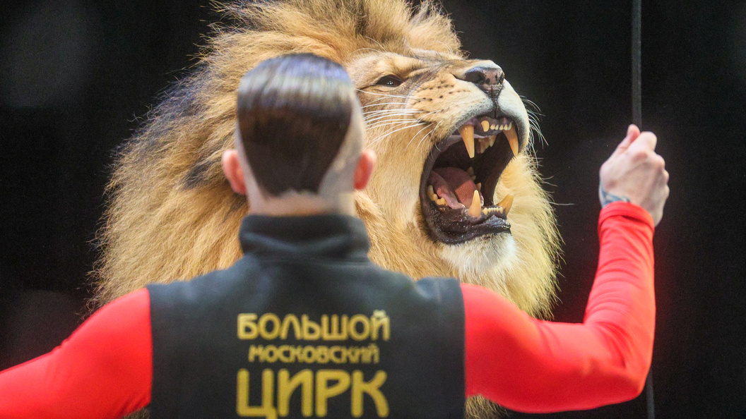    Bulkin Sergey/Globallookpress