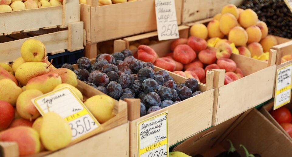    Администрация Химки г.о.