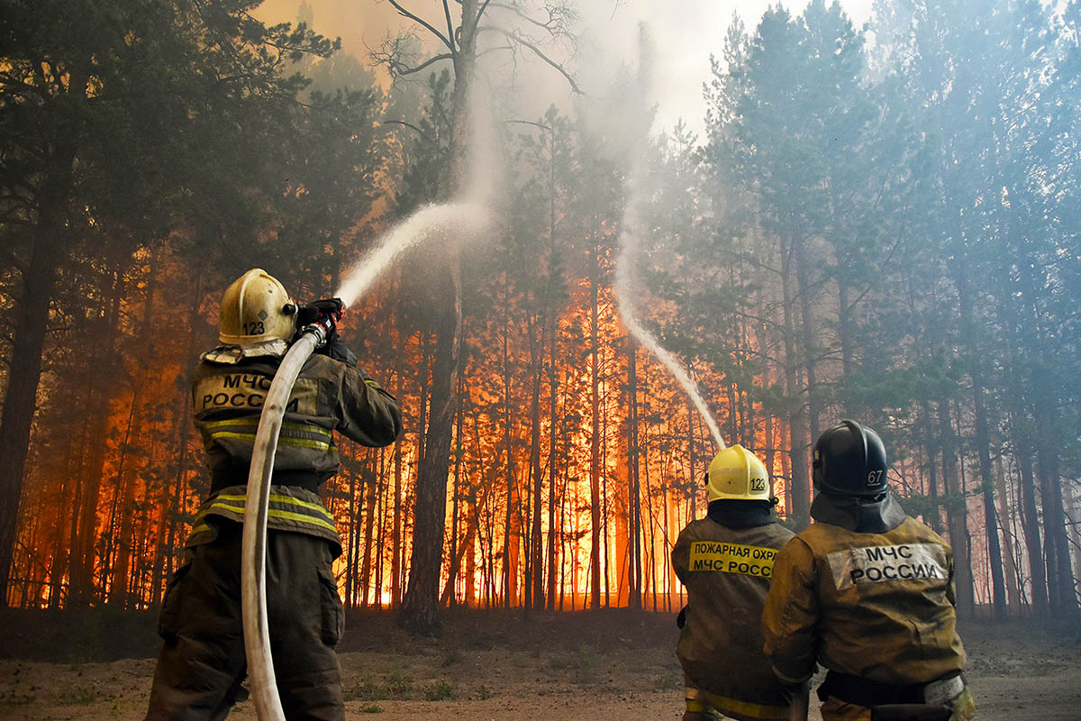 Лесные пожары – бедствие каждого лета в России. Разрушается экосистема, гибнут звери и птицы, люди теряют здоровье, дыша продуктами горения.