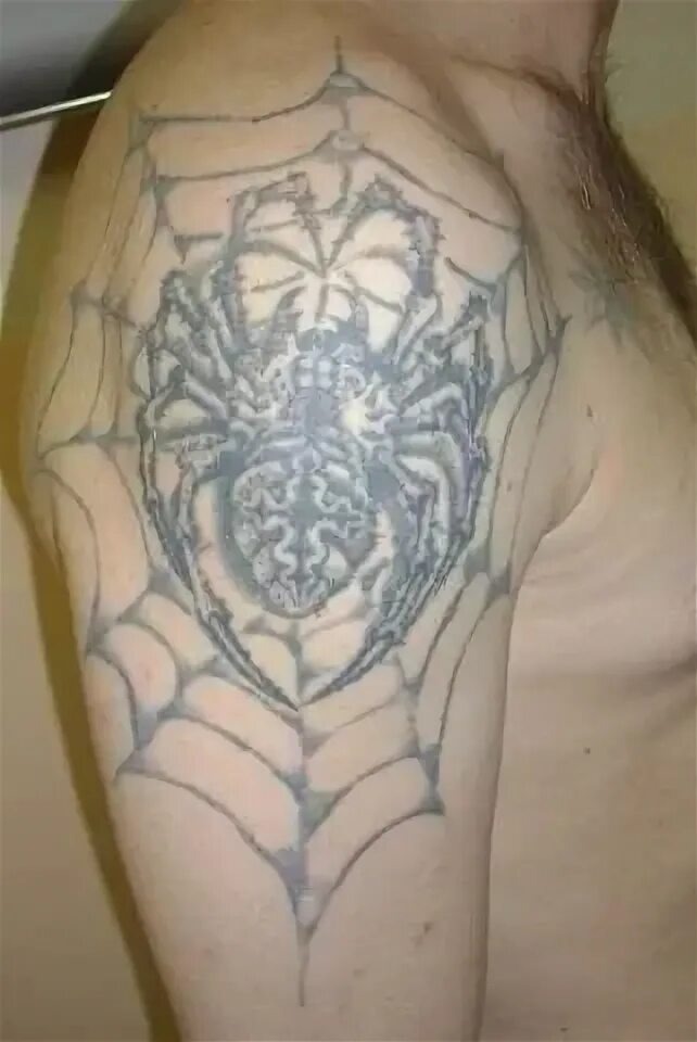 Тату тарантул. Тюремное значение тату паука. Тату паук. Татуировка паутина на плече. Тату паук.
