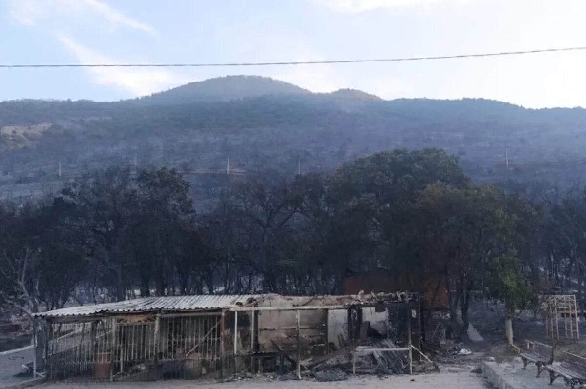    Под Новороссийском ликвидировали лесной пожар площадью 62 гектара