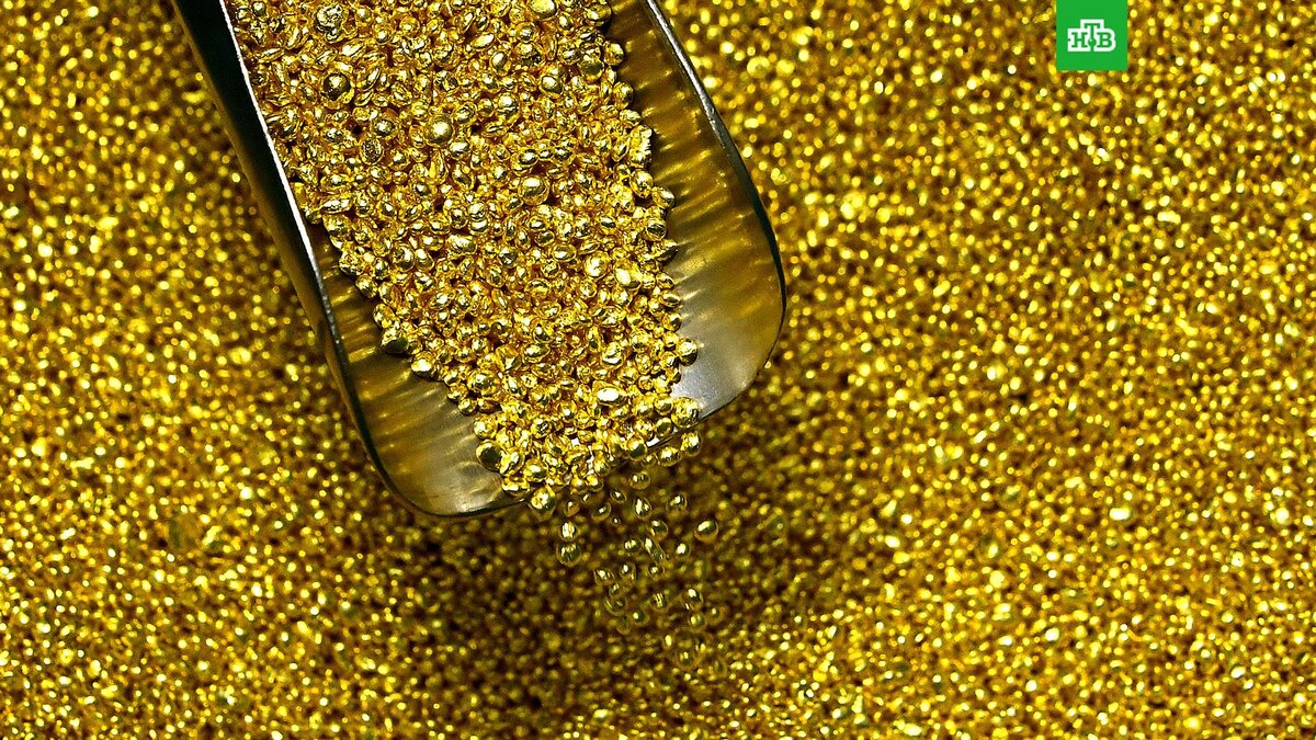    Фото: РИА Новости © 2024, Илья Наймушин