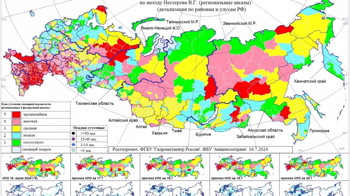 Карта пожарной опасности в России. Фото: Гидрометцентр России
