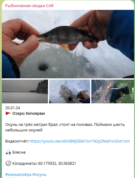 Окунёвая локация напротив улицы Чайное Озеро