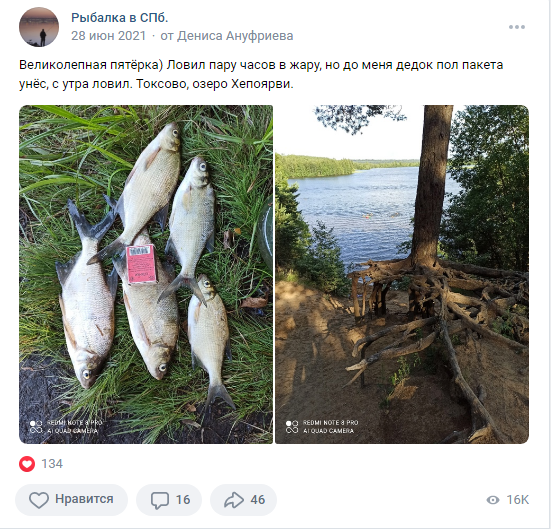 Место для береговой ловли леща на лесном пляже в заливе Цыганский на озере Хепоярви