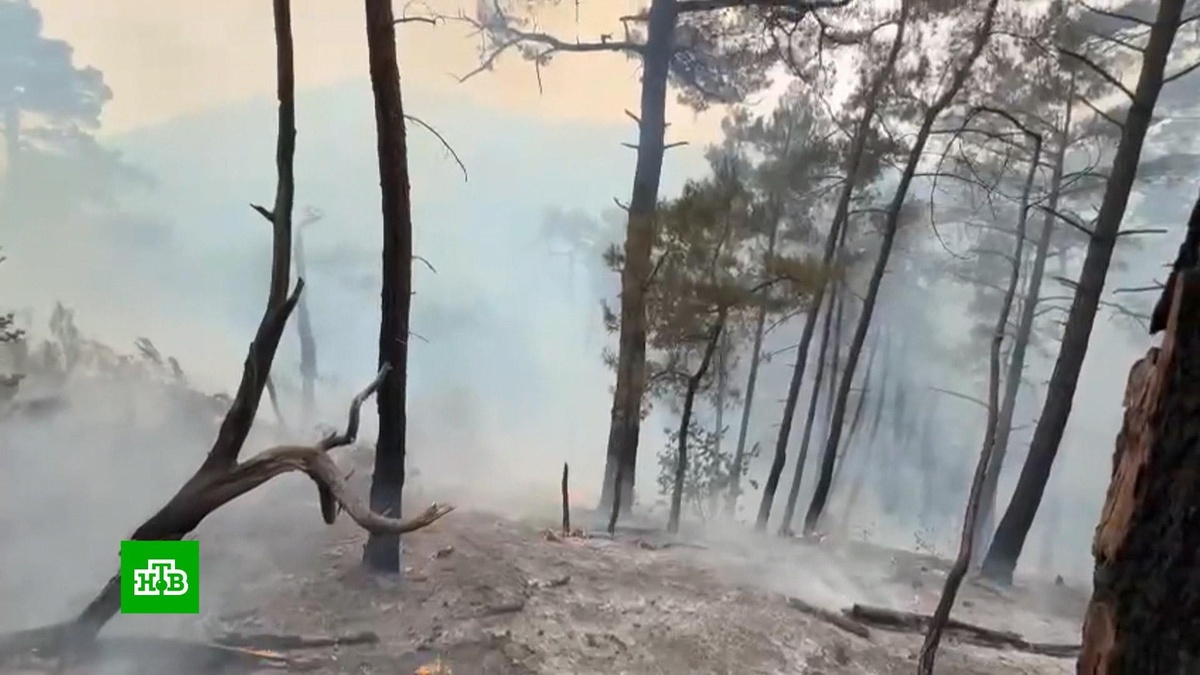 [ Смотреть видео на сайте НТВ ] Спасатели полностью потушили лесной пожар, вспыхнувший на территории заказника под Новороссийском. О ликвидации горения было объявлено в 18:05.