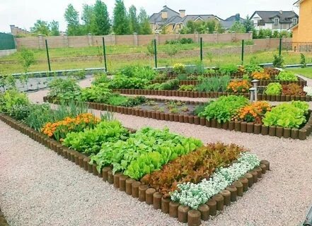 Хотите такие грядки?