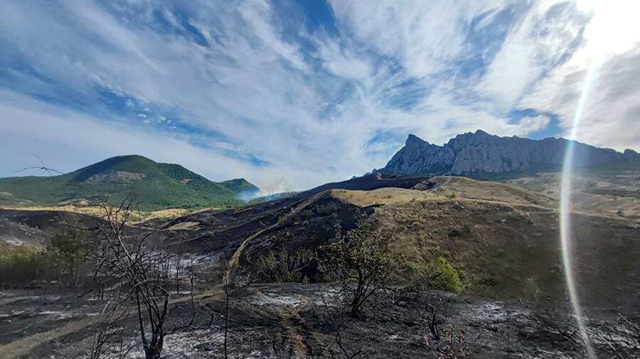 Природный пожар в Краснодарском крае разгорелся 14 июля, горел лес в районе хутора Дюрсо неподалеку от места, где производят одноименную алкогольную продукцию.