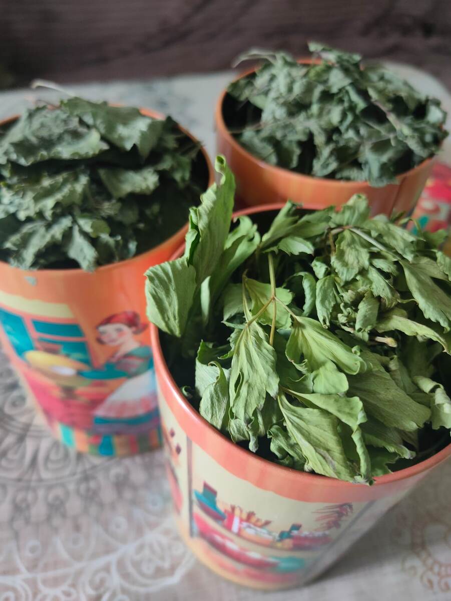 Любисток, мелисса