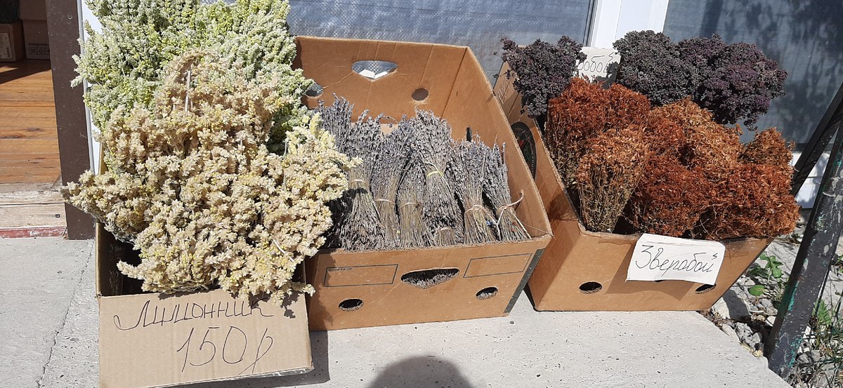 Крымские травы