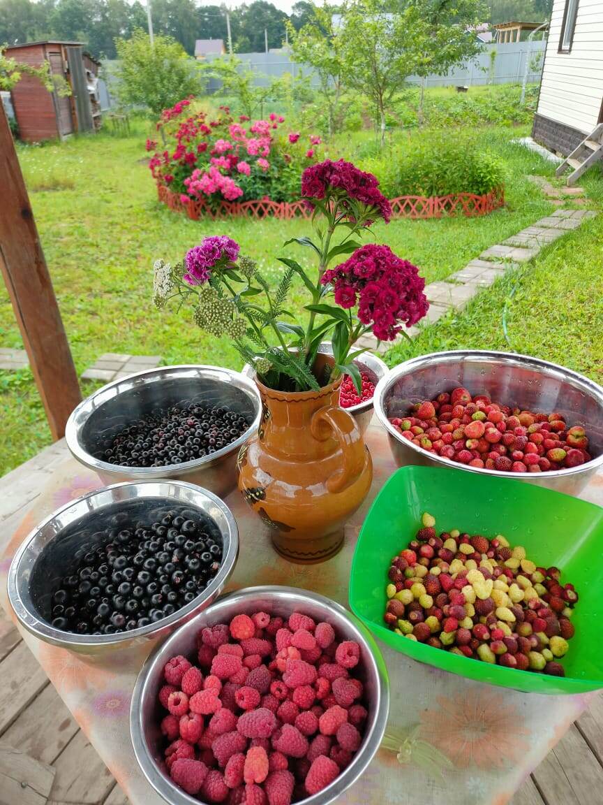 Готовимся варить варенье