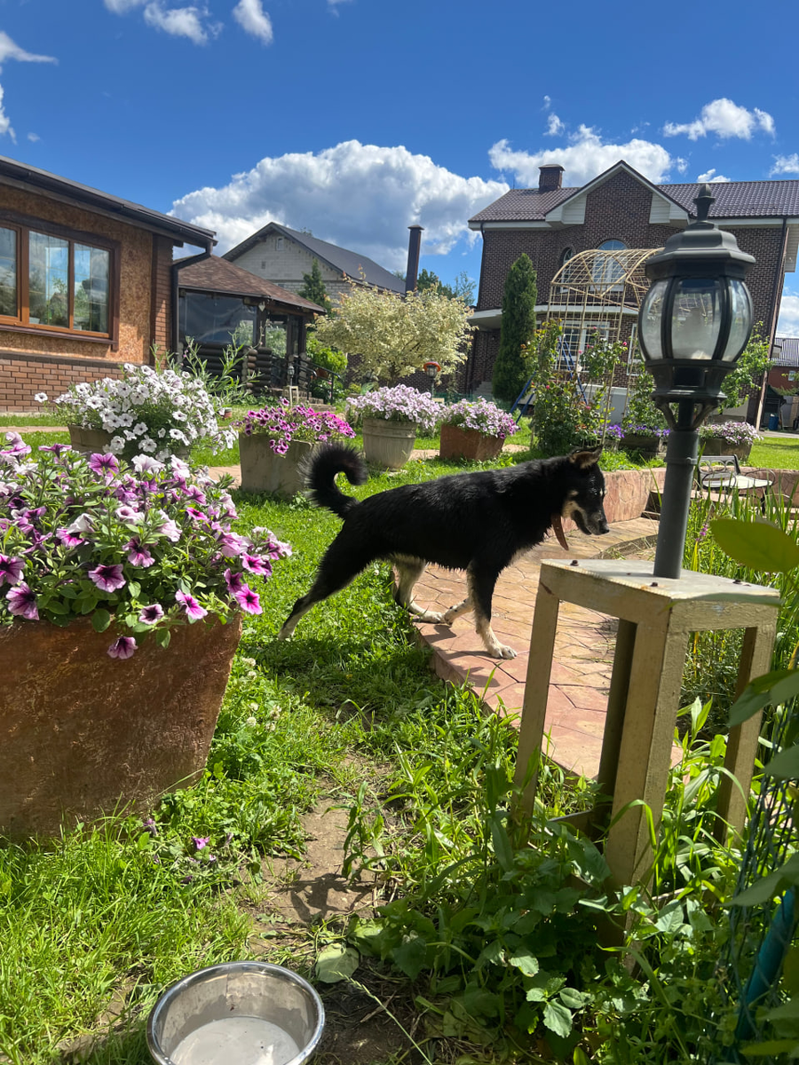 На этом фото очень хорошо видно, какая Клепа на самом деле негабаритная!