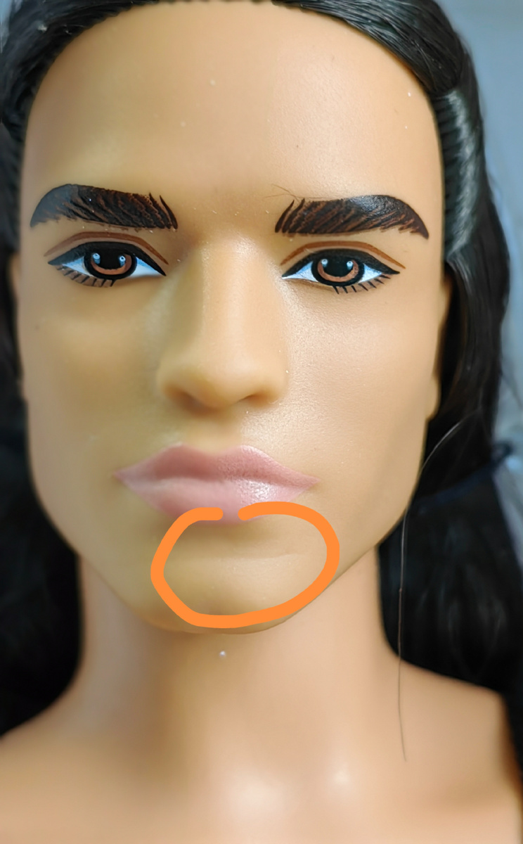 Barbie Looks # 9 Cam