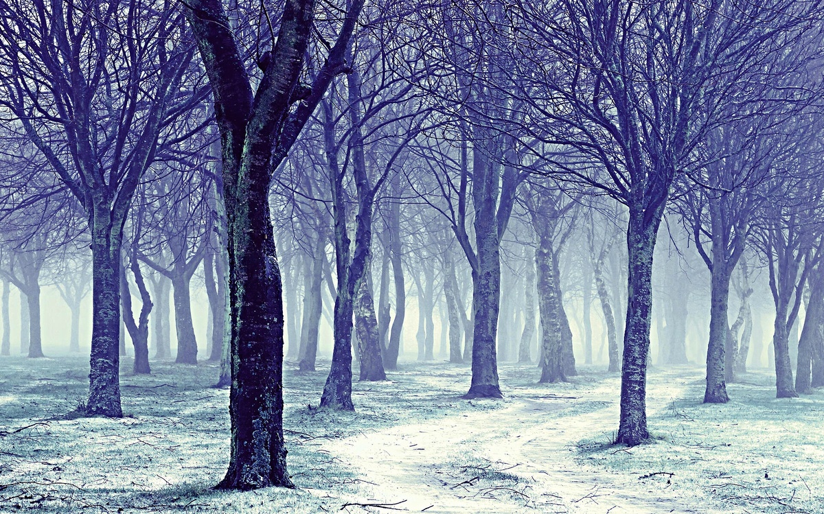 Фото взято из интернета.