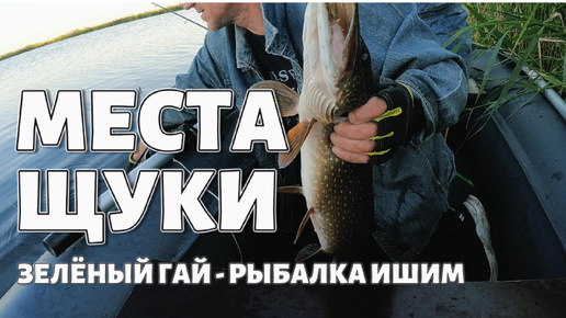 ЩУЧЬИ МЕСТА 🎣 ЗЕЛЁНЫЙ ГАЙ #РЫБАЛКА #ИШИМ 🎣🎣🎣