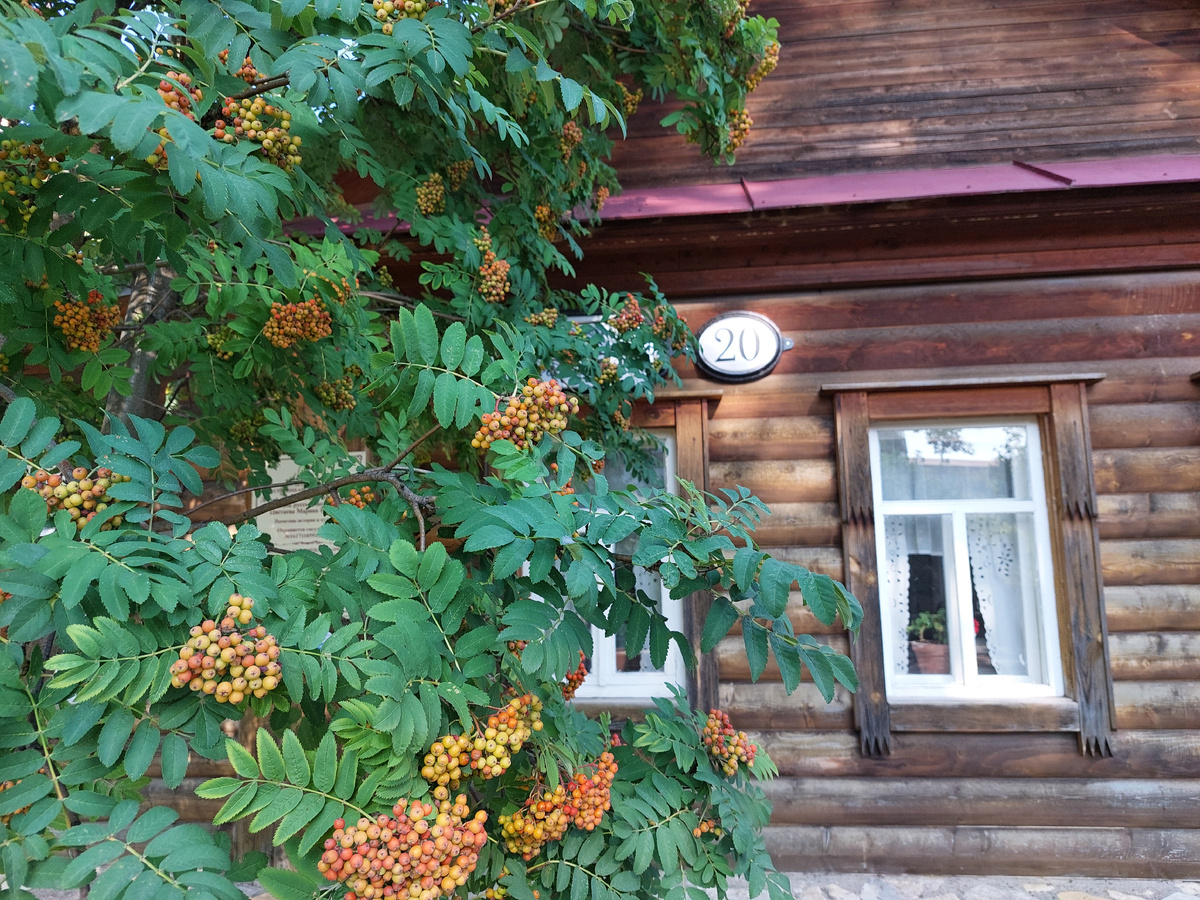 Рябине отводится определённая роль в творчестве поэтессы.