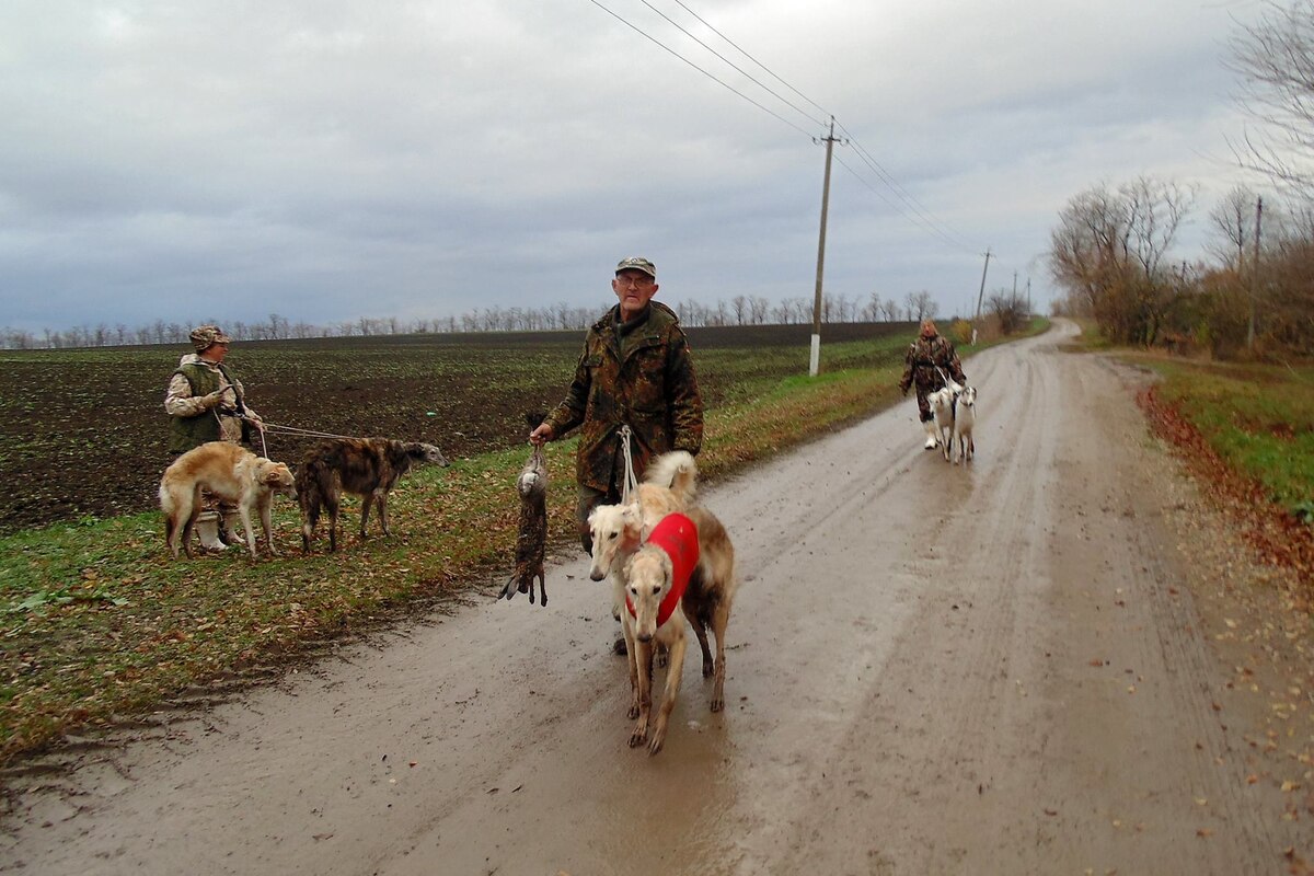 Удачная охота
 