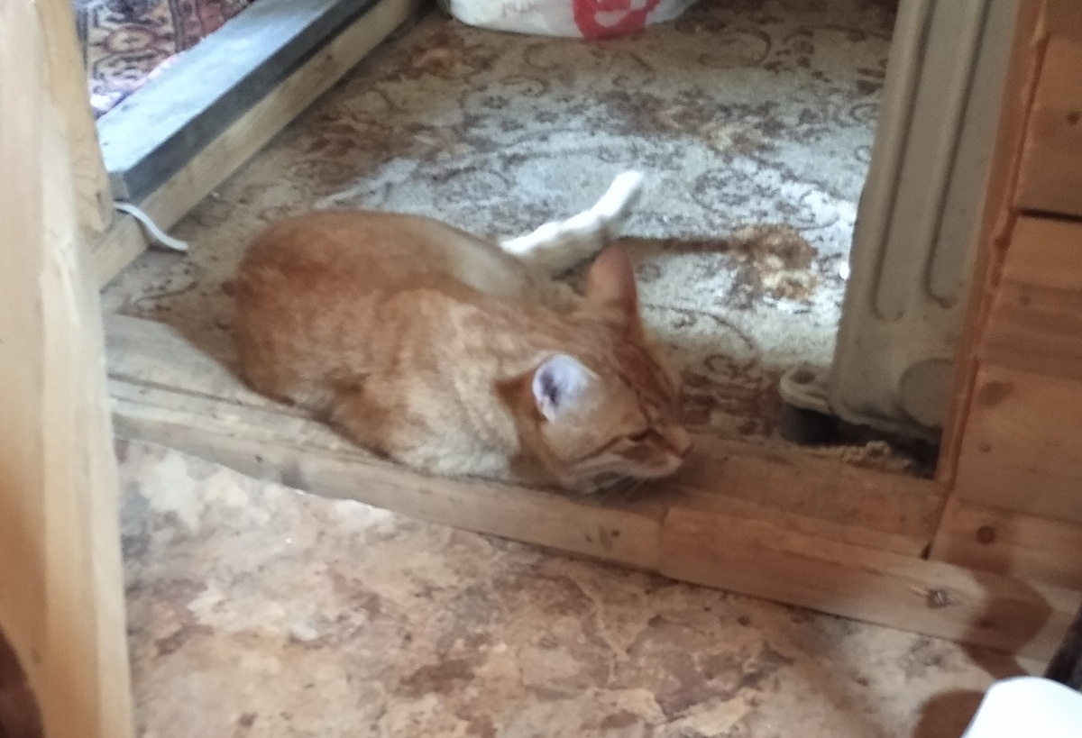 Личное фото