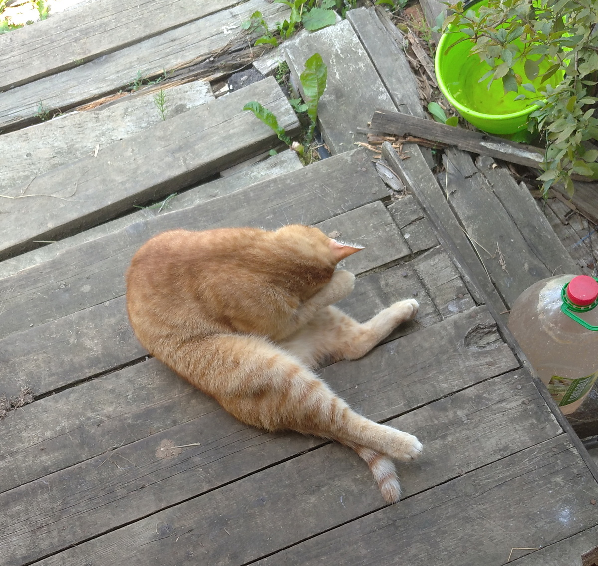 Личное фото