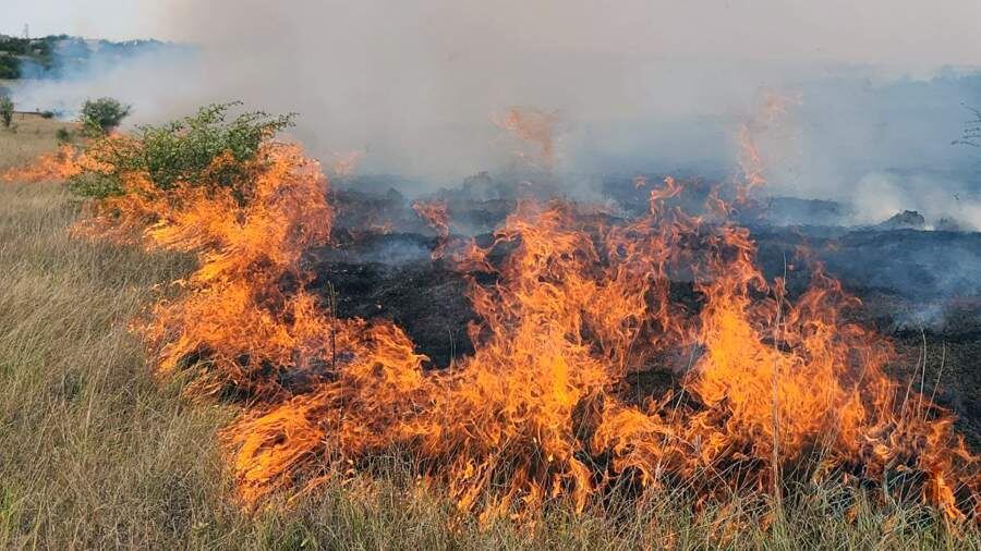 Юг России сейчас занимает первое место по пожарной опасности, предупреждают метеорологи. 16 июля МЧС сообщило о локализации огня на площади 40 га в крымском Коктебеле.