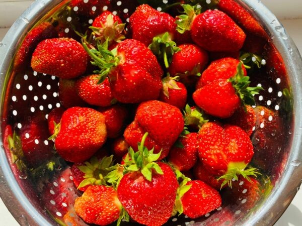     Фото: Никита Чудин. UG.RU