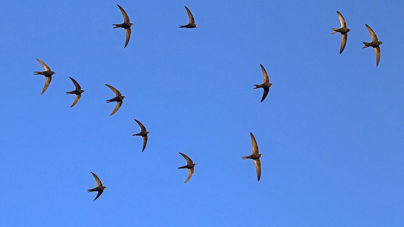 Картинка взята из интернета.